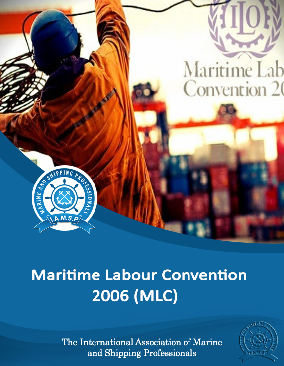Mlc Code QSMGlobal